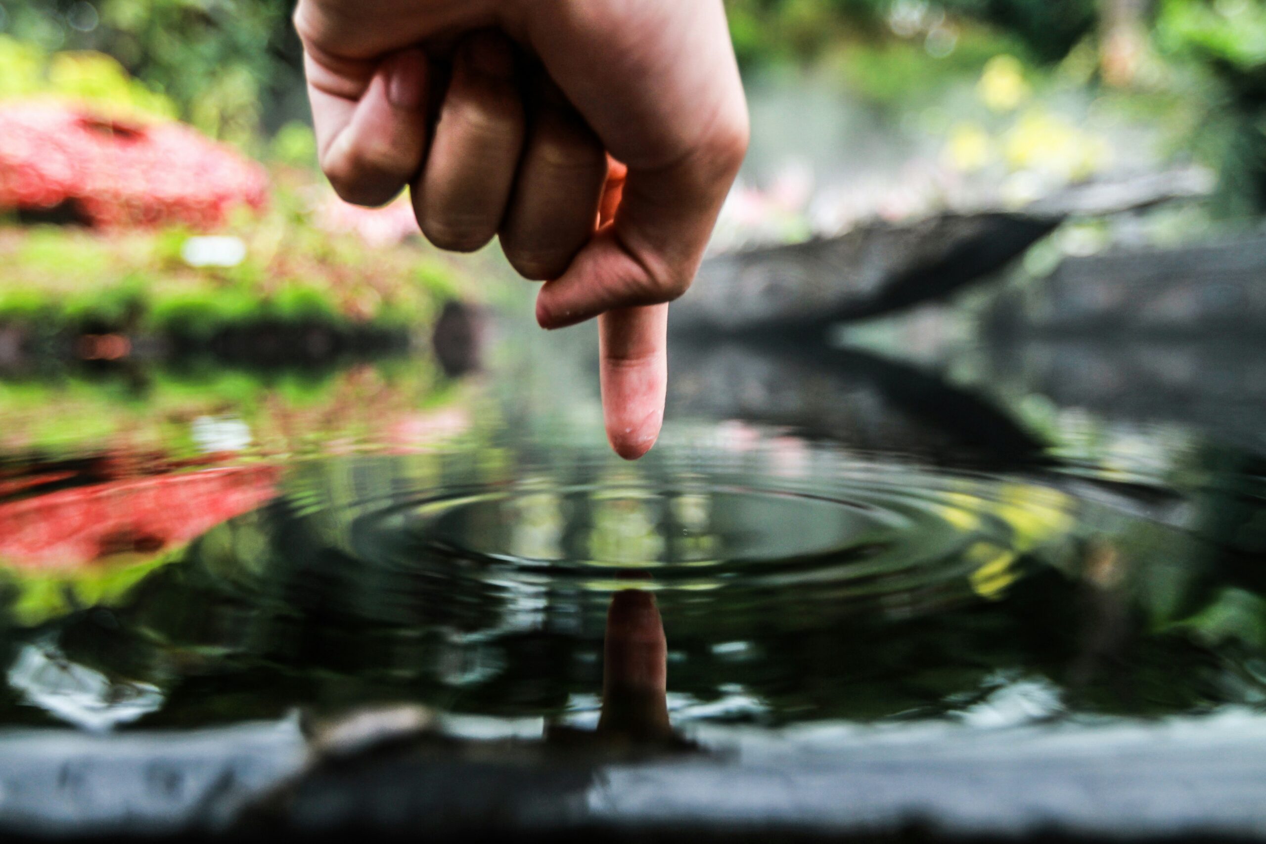 Ripple Effect Spring